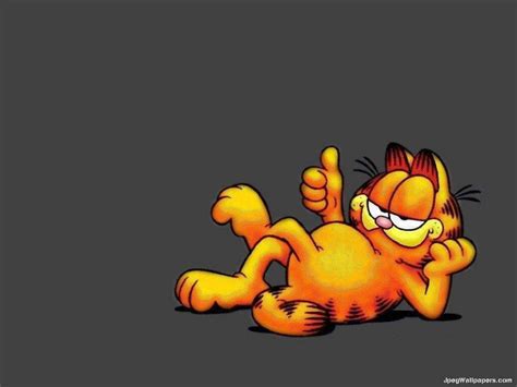 garfield wallpaper|garfield wallpapers 1080p.